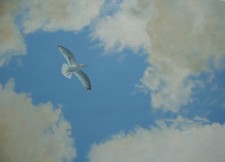https://www.loraineburgon.com/files/gimgs/th-16_spread your wings _v2.jpg